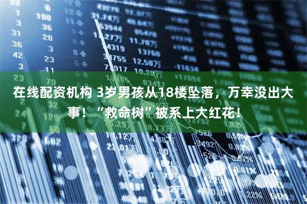 在线配资机构 3岁男孩从18楼坠落，万幸没出大事！“救命树”被系上大红花！