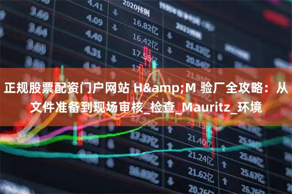 正规股票配资门户网站 H&M 验厂全攻略：从文件准备到现场审核_检查_Mauritz_环境
